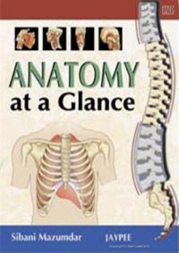 Image of Anatomy At A Glance