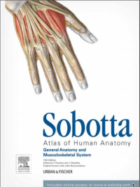 Image of Sobotta, Atlas Of Human Anatomy 15E 3Vol