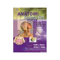 Image of Anatomi Berorientasi Klinis Edisi 5 Jl.2